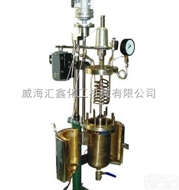 不锈钢升降<em>翻转</em><em>反应釜</em>，中SY升降<em>翻转</em>高压釜