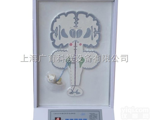 <em>平衡觉</em>传导<em>电动</em>模型