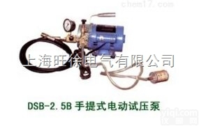 <em>上海</em>旺徐DSB-2.5B<em>手提式</em>电动<em>试压泵</em>