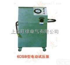 上<em>海旺</em>徐6DSB-16<em>型系列</em>电动<em>试压泵</em>