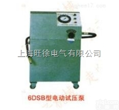 上<em>海旺</em>徐6DSB-40<em>型系列</em>电动<em>试压泵</em>