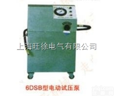 上<em>海旺</em>徐6DSB-25<em>型系列</em>电动<em>试压泵</em>