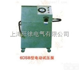 上<em>海旺</em>徐6DSB-6.3<em>型系列</em>电动试压泵