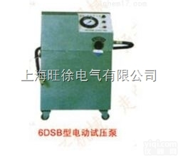 上<em>海旺</em>徐6DSB-10<em>型系列</em>电动<em>试压泵</em>