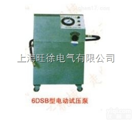 上<em>海旺</em>徐6DSB-4.0<em>型系列</em>电动试压泵