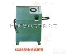 上<em>海旺</em>徐6DSB-2.5<em>型系列</em>电动试压泵