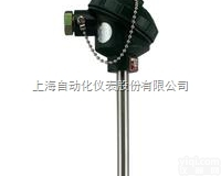 WZPN-130  上海自动<em>化仪表</em>WZPN-130<em>耐磨</em><em>热电阻</em>