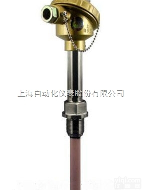 <em>WRNT</em>  上海自动<em>化仪表</em><em>WRNT</em>电站测温用热电偶/阻