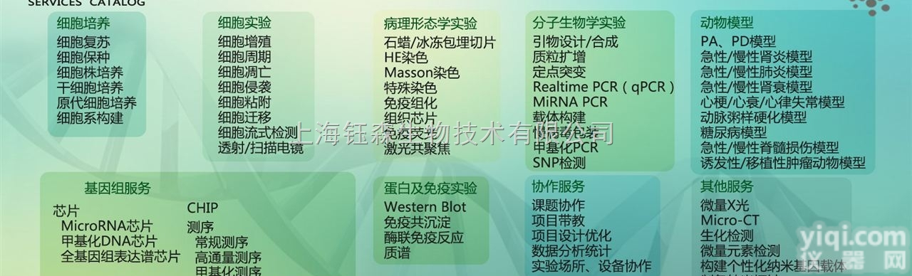 IBD<em>模型</em>  MTD实验 肾脏缺血再灌注 <em>营养</em>性肥胖大鼠<em>模型</em> 转基因小...