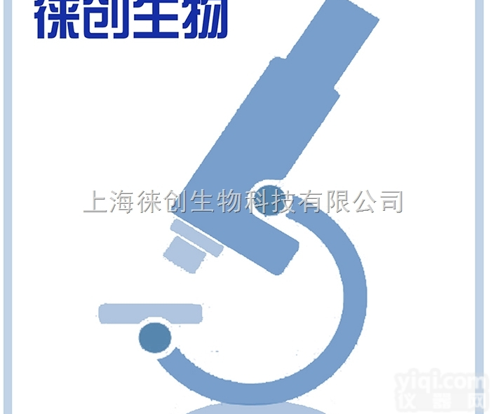 <em>基因合成服务</em> 分子克隆技术