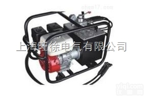 上<em>海旺</em>徐CYB-15000<em>汽油机</em><em>液压泵</em>