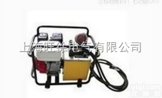 上<em>海旺</em>徐JDG-800复动<em>汽油机</em><em>液压泵</em>