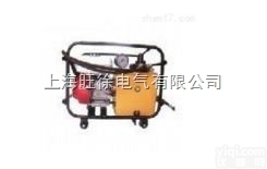 上<em>海旺</em>徐JYB-5<em>汽油机</em><em>液压泵</em>