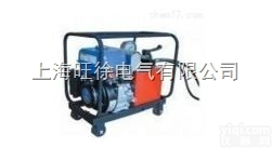 上<em>海旺</em>徐JYB-100Z<em>汽油机</em><em>液压泵</em>