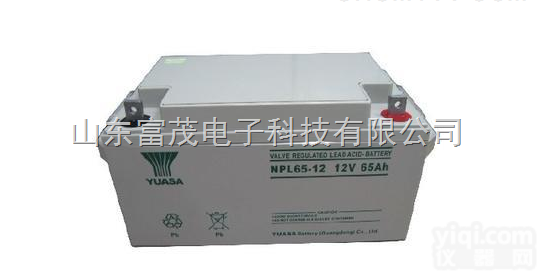 <em>汤浅</em>电池NP65-12 <em>铅酸</em>蓄电池12V6H