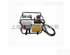 上<em>海旺</em>徐JDG-800 复动<em>汽油机</em><em>液压泵</em>