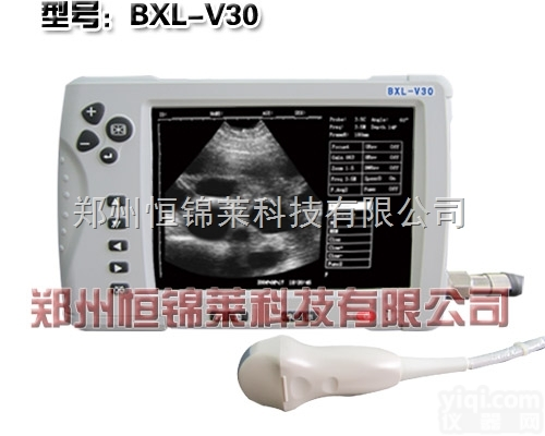 <em>猪用B超如何使用</em>