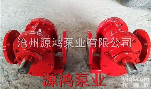 2CY1.08-2.5<em>齿轮泵</em>  沧州源鸿<em>泵业</em>供应2CY1.08-2.5高压<em>齿轮泵</em>，不锈钢<em>齿轮泵</em>