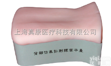 <em>背部</em>仿真<em>针刺</em>手法<em>练习</em>平台（针灸推拿）