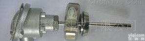 供应WZP（B）-400卫生型温度<em>传感器</em>（<em>一体式</em>温度<em>变送器</em>）