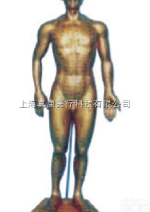 人体<em>针灸</em><em>模型</em>（铜人<em>针灸</em>穴位pvc树脂<em>材质</em>）
