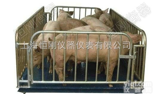 <em>动物</em>秤  <em>围栏</em><em>动物</em>秤，带栏门<em>动物</em><em>电子秤</em>，防滑<em>动物</em>专用秤