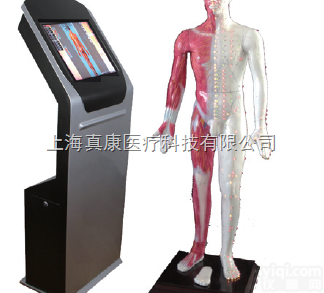 多媒体人体<em>针灸</em>穴位交互数字平台（<em>针刺</em><em>推拿</em>）