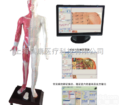 MAW-170E  光电<em>感应</em>多媒体人体针灸穴位<em>发光</em>模型（针刺推拿）
