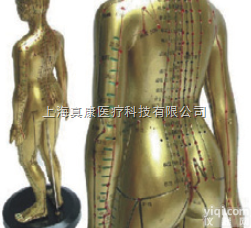 女性人体<em>针灸</em><em>模型</em>/铜人<em>针灸</em>穴位<em>模型</em>（树脂PVC<em>材质</em>）