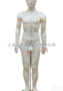 针灸模型（<em>玻璃钢</em>树脂<em>材质</em>）