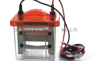 Mini VE1600  <em>便携式</em>厂家Mini VE1600<em>迷你</em>垂直电泳槽（蛋白电泳槽）