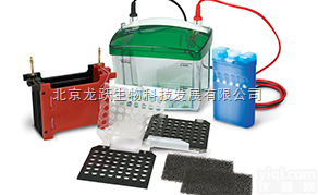 <em>伯乐</em>小型<em>转印</em>槽 Trans-Blot 1703930