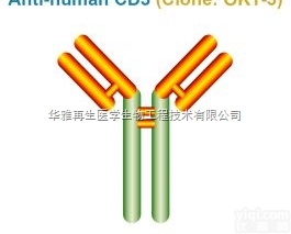 Peprotech biogems <em>SAFIRE</em> T细胞活化抗人CD3...