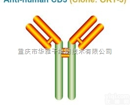 Biogems <em>SAFIRE</em> OKT3 Anti-human anti...