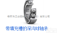 希而科杨兴伟<em>特别推出</em>SKF深沟球轴承产品