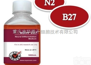 CellArtis Y40002 NDiff 227人<em>小鼠</em>ES<em>胚胎</em>干细...