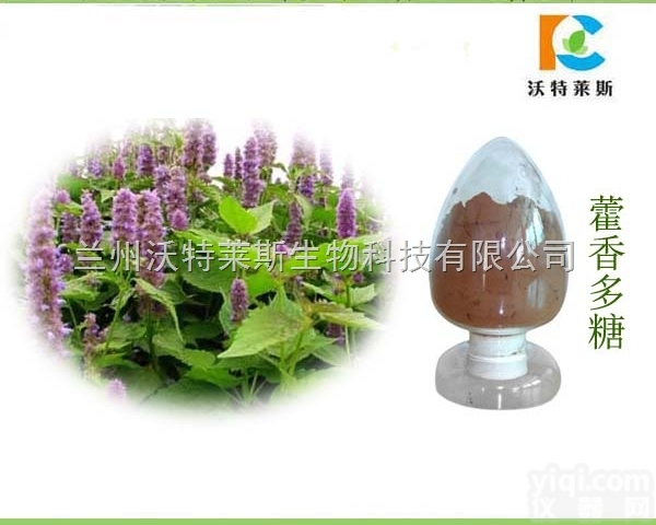 粉末  藿香多糖60% 藿香<em>提取物</em> 多种<em>规格</em> 1公斤起订