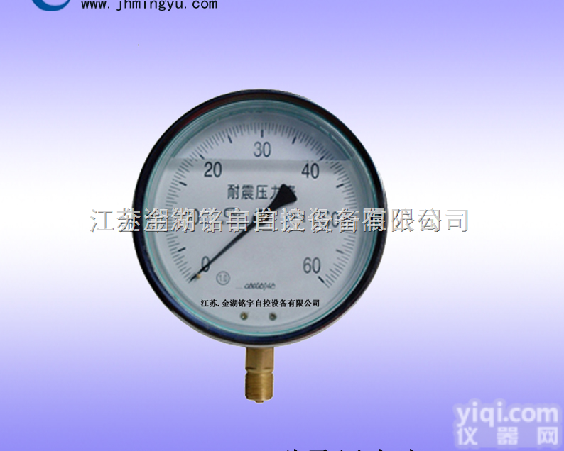 MY-<em>YN100耐震压力表</em>