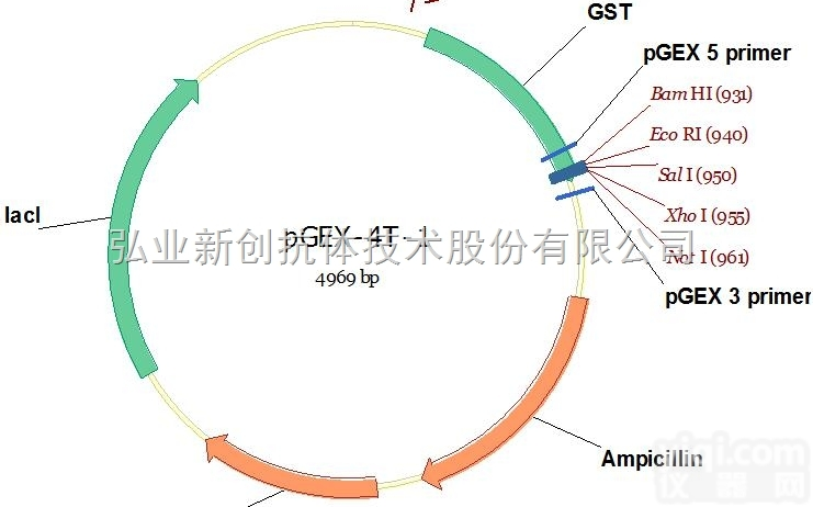 V010022  必拓生物<em>pGEX</em>-4T-1<em>载体</em>，<em>pGEX</em>-4T-1 vector，<em>质粒</em>...