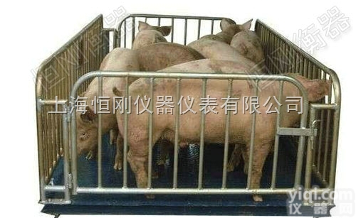 <em>畜牧</em>秤  动态围栏<em>畜牧</em>秤，杀猪厂专用<em>畜牧</em>称重秤，1吨带打印<em>畜牧</em>电子秤