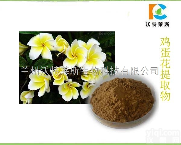 <em>粉末</em>  鸡蛋花<em>提取物</em> 比例提取 1公斤起订 多种规格