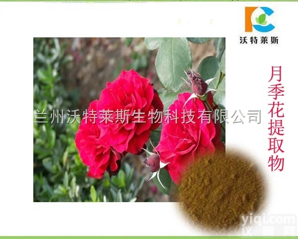 粉末  月季花<em>提取物</em> 月季<em>花粉</em> 长期供应 厂家直销包邮