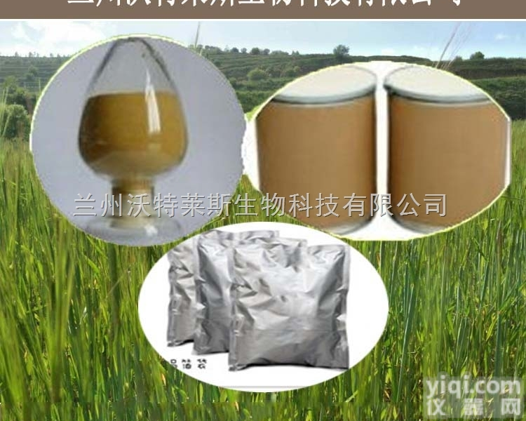 粉末  金盏花<em>提取物</em>/金盏<em>花粉</em> 1公斤起订