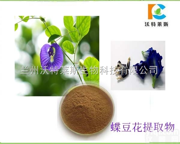 粉末  蝶<em>豆花</em><em>提取物</em> 10:1 厂家直销 1公斤起订包邮