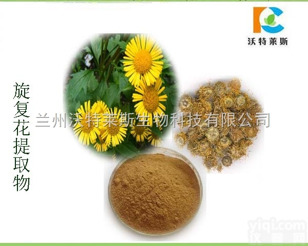 粉末  <em>旋覆花</em>花<em>提取物</em> 水朝阳<em>旋覆花</em>10:1 厂家直销包邮