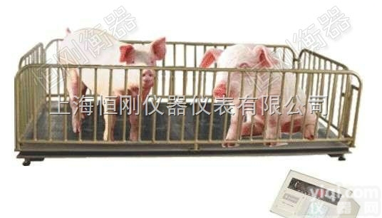 电子<em>畜牧</em>磅秤  带围栏的电子<em>畜牧</em>磅秤，防腐型<em>畜牧</em>专用电子磅，3000公斤<em>畜牧</em>电子地磅秤