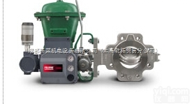 <em>罗斯蒙特</em>ROSEMOUNT高性能<em>旋转阀</em>如图展示