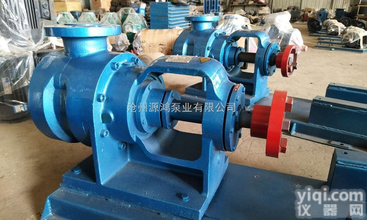 NYP3B<em>转子泵</em>  源鸿厂家<em>直销</em>NYP3B不锈钢高粘度<em>转子泵</em>