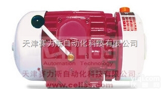 德国WITTIG<em>真空泵</em>