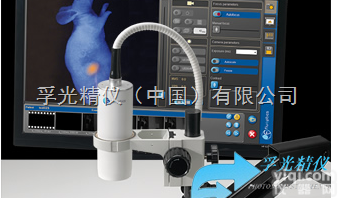 FP-FLUOPREC  <em>近红外</em><em>活体</em><em>荧光</em>成像系统